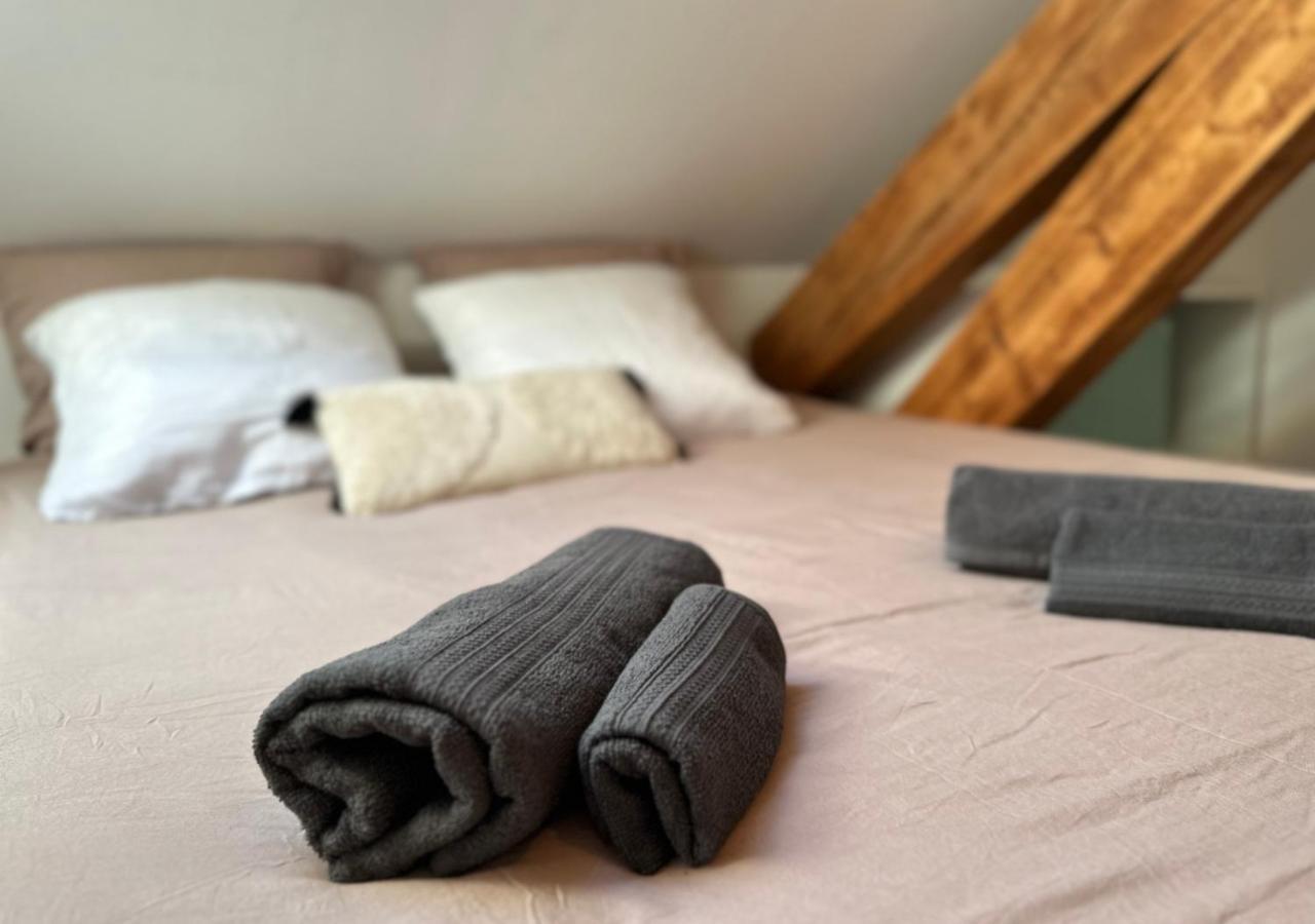 Duplex Loft - Central & Home Cinema Annecy Luaran gambar