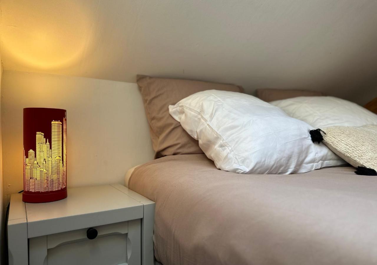 Duplex Loft - Central & Home Cinema Annecy Luaran gambar